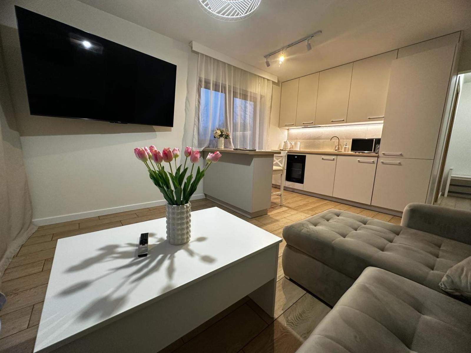 Apartamenty Biala Gran Zakopane Exterior foto